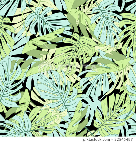 Tropical palm leaves. 22845497