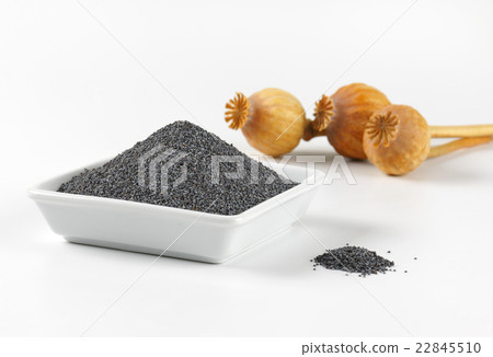 poppy seeds and dried seed heads poppy seeds and dried seed heads 22845510