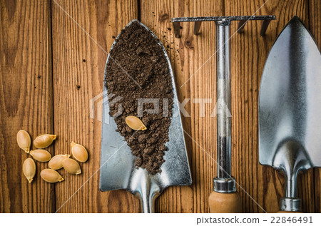 Still-life with seeds and the garden tool 22846491