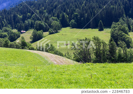 View on the Alps, Switzerland View on the Alps, Switzerland 22846783