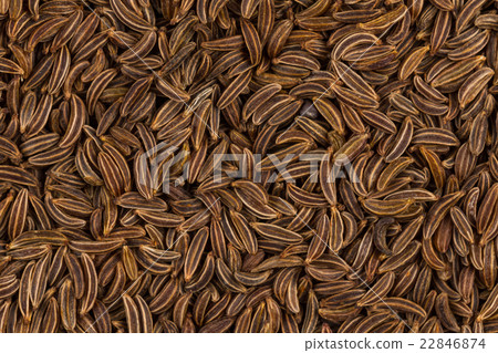 Close up caraway seeds 22846874