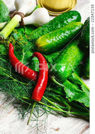 Fresh pickling cucumbers Fresh pickling cucumbers 22847138