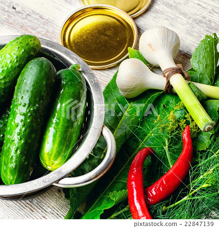 Fresh pickling cucumbers 22847139