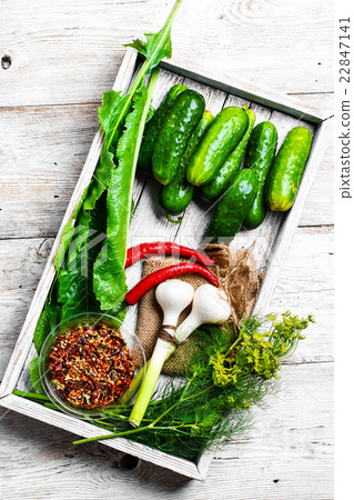 Fresh pickling cucumbers Fresh pickling cucumbers 22847141