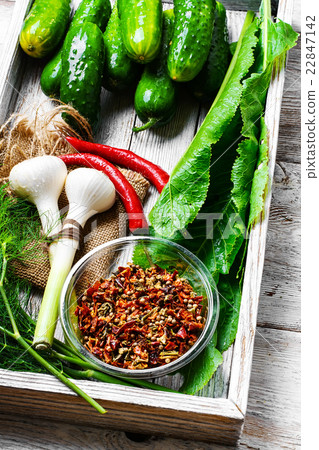 Fresh pickling cucumbers Fresh pickling cucumbers 22847142