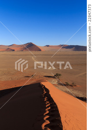 Footsteps on dune Footsteps on dune 22847373