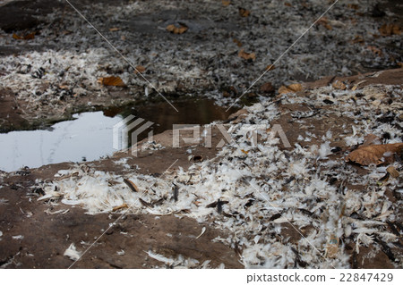 animist site in Burkina Faso animist site in Burkina Faso 22847429