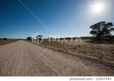 Road 22847444