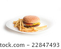 Fresh tasty hamburger with fries on a white plate 22847493