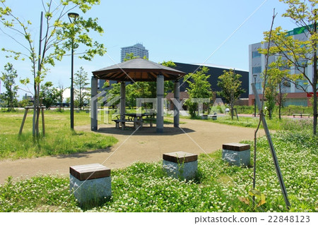 Clover's blooming park 22848123