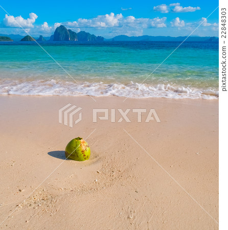 Beautiful tropical sand beach and coconut Beautiful tropical sand beach and coconut 22848303