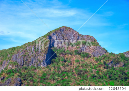 Mountain with the green tropical forest Mountain with the green tropical forest 22848304