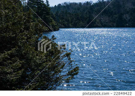 Yatsugatake Shirakawa Pond 22849422
