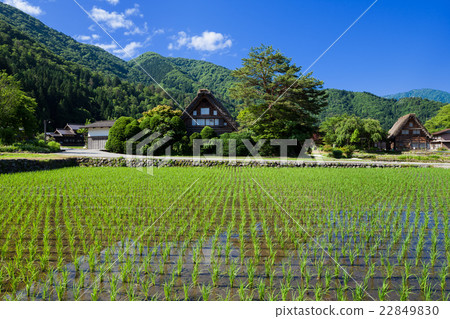 世界遺產Shirakawago初夏 世界遺產Shirakawago初夏 22849830