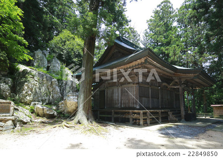 Pegmatite dikes of Kashima shrine, 22849850