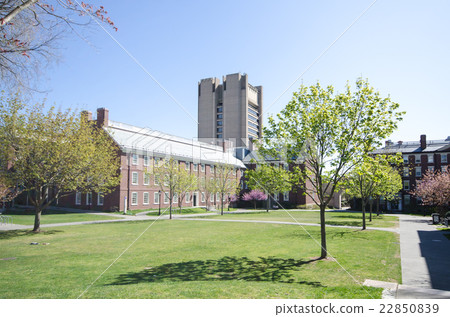 Brown University Campus Brown university 22850839