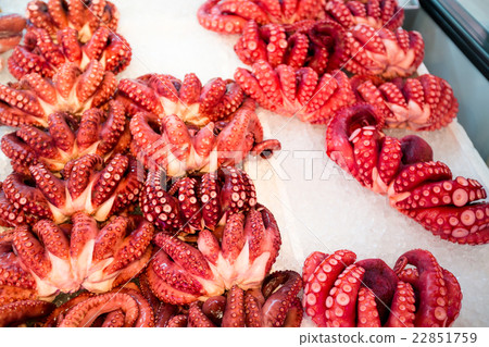 Octopus in Japanese food market 22851759