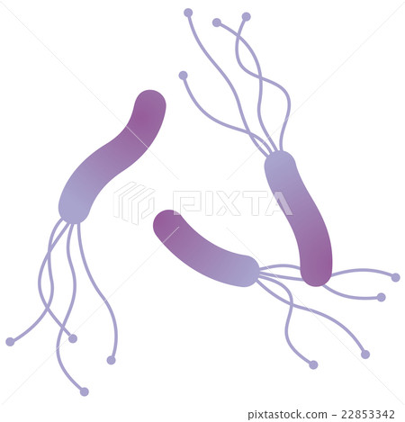 Helicobacter pylori medical 22853342