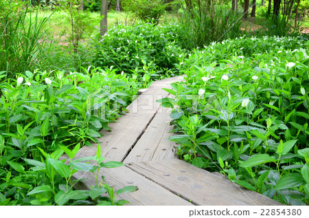 The landscape of the waterside where the Hangeho shaw 22854380