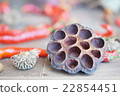 Image of autumn 22854451