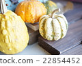 Yellow Pumpkin 22854452