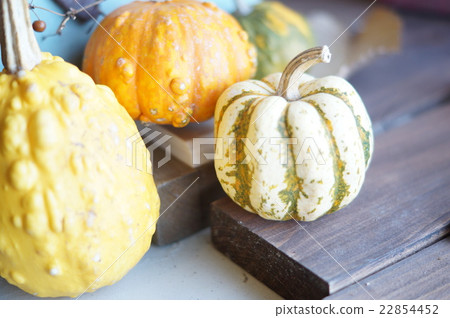 Yellow Pumpkin Yellow Pumpkin 22854452