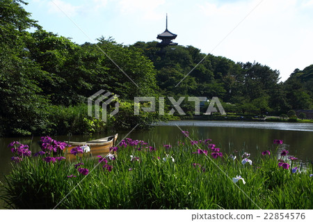 Around early summer 22854576