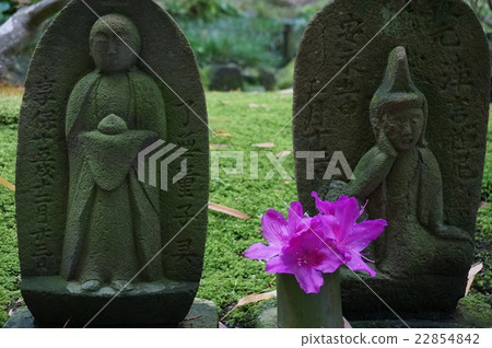 Dear Mr. Kamakura Dear Mr. Kamakura 22854842