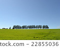 Scenery of Hokkaido Hill of Mild Seven 22855036
