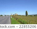 Hokkaido road 22855206
