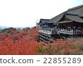 Kiyomizu Temple with beautiful autumn colors 22855289