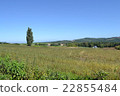 Spacious Hokkaido land 22855484