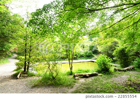 古賀沒有佐藤Ninjutsu村莊水蜘蛛池塘 22855554