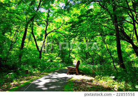 Natsose溫泉自然風景 Natsose溫泉自然風景 22855558