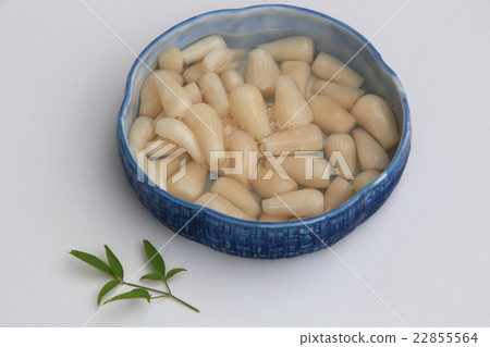 Scallions Scallions 22855564