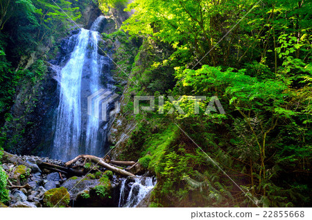 開普谷的性質 開普谷的性質 22855668