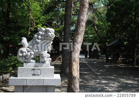 A stone statue of a lion dog placed in the shrine grounds 22855789