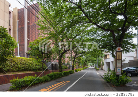 東京步行,世田谷Kamiga 5丁目Nishiga-dori 東京步行,世田谷Kamiga 5丁目Nishiga-dori 22855792