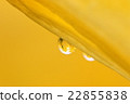 Water droplets 22855838