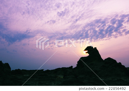 Oga Godzilla Rock Oga Godzilla Rock 22856492