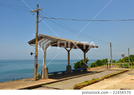 Shimada Shimada 22856570