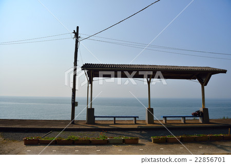 Shimada Shimada 22856701