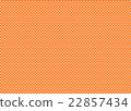 Check 22857434