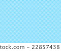 Check 22857438