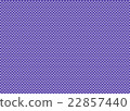 Check 22857440