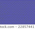 Check 22857441