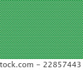 Check 22857443