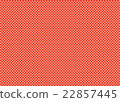 Check 22857445
