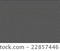 Check 22857446