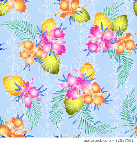 卡特蘭模式 卡特蘭模式 22857591